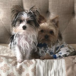 Meet your Posher, Ronald